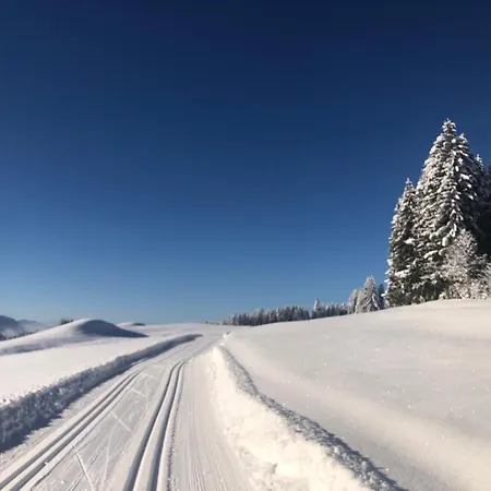 In Tiefenberg/ Allgaeu *