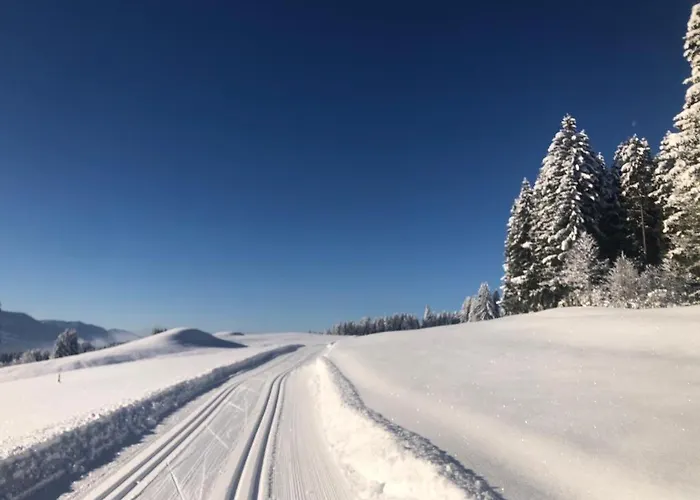 In Tiefenberg/ Allgaeu *